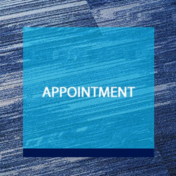 Appointment of Céline Boyer-Chammard