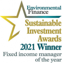 Corporate - Our ESG approach - Logo Sustainable Investment Awards
